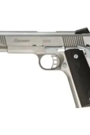 Limited Time - REGENT MDL 200S 45ACP