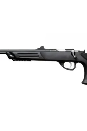 Fast Shipping | KEYSTONE Crickett 22 LR Single 10.5" TB Stainless Serenity