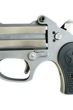Clearance | BOND ARMS Rawhide 22LR 2.5" 2rd - Stainless