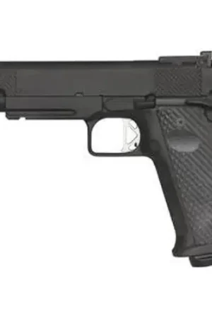 Order Online - DAN WESSON Elite Series Titan 10mm 5" 13rd Tritium NS