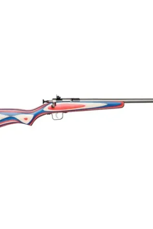 Fast Shipping | KEYSTONE Crickett 22 LR 16.1in Stainless 1rd
