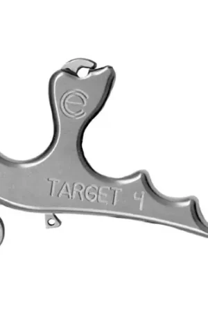 CARTER ENTERPRISES Target 4 Release - Act Fast