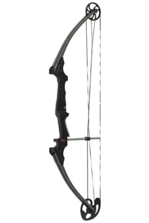 Best Value - GENESIS ARCHERY 17 Genesis Bow Carbon Fiber Right Hand