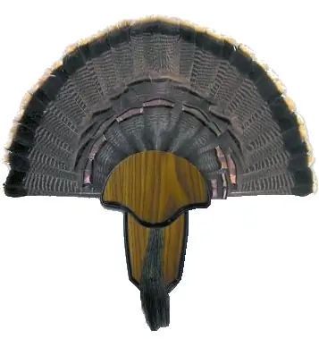 Hunters Specialties HS-STR-00849 - Popular Choice