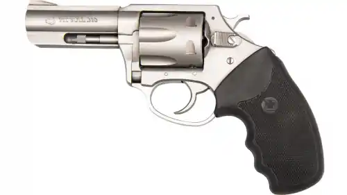 Don't Miss Out | Charter Arms Pitbull .380 ACP Stainless/Silver Revolver