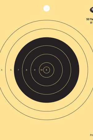 Birchwood Casey Dirty Bird 50yd Small Bore Hanging Tagboard 8" Bullseye Black/Tan | Top Pick