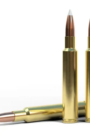 Nosler Trophy Grade .280 Ackley Improved Ballistic / Flex Tip | Flash Deal