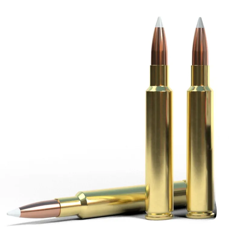 Nosler Trophy Grade .280 Ackley Improved Ballistic / Flex Tip | Flash Deal