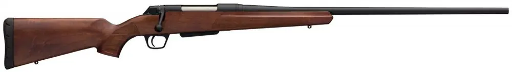 In Demand | Winchester XPR Sporter .350 Legend Blue/Black Rifle