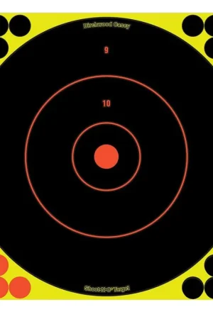 Reliable Choice - Birchwood Casey Shoot-N-C Bullseye Hanging Adhesive Paper Target 12x12