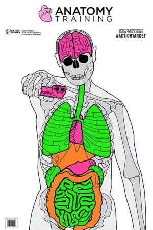 Reliable Choice - Action Target Anatomy Training Target