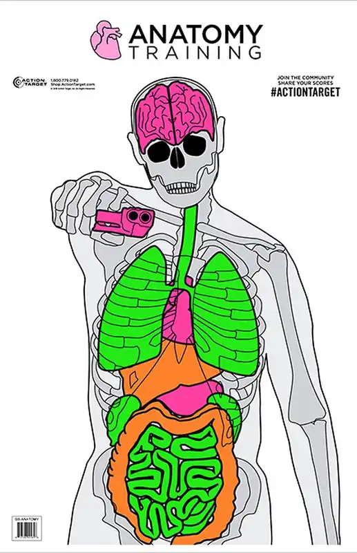 Reliable Choice - Action Target Anatomy Training Target