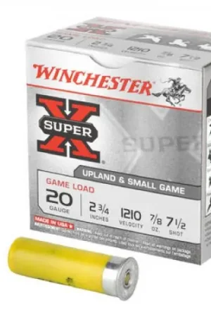 Winchester Super-X 20 Gauge | In Demand