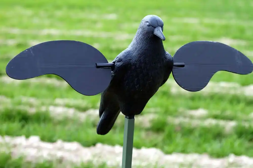 Mojo Outdoors Mojo Crow Decoy | Almost Gone