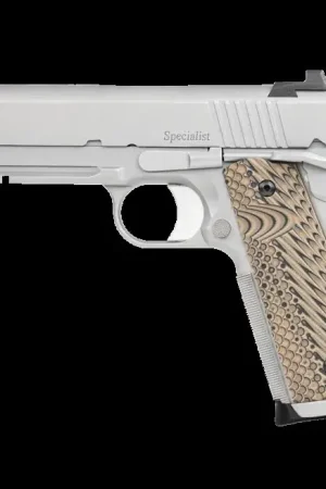Dan Wesson 1911 Specialist Full Size .45 ACP Stainless/Silver Pistol | Premium