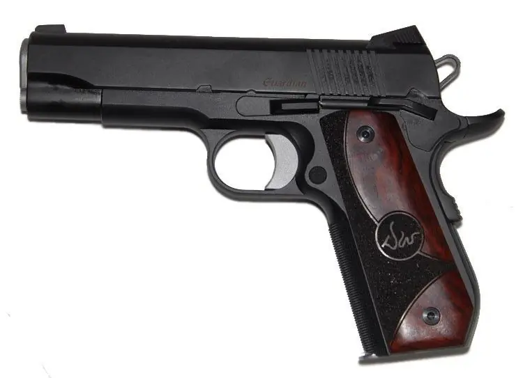 Get It Now - Dan Wesson Guardian 1911 .45 ACP Blue/Black Pistol