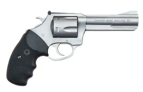 Charter Arms Professional VI 6-Shot .357 Mag Stainless Steel Revolver | Order Online