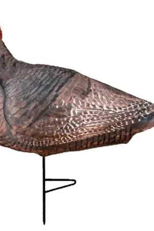 Primos Photo Form Jake Turkey Decoy - Top Rated