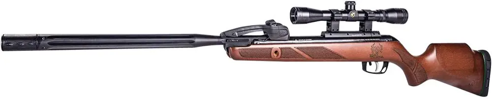 Gamo Swarm Bone-Collector Gen2 22 | Highly Rated