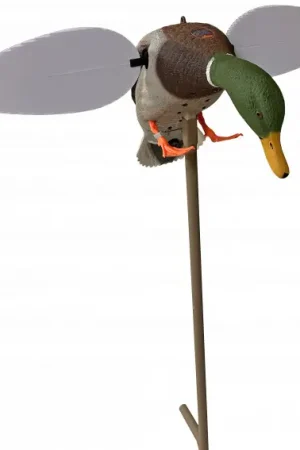 Mojo Outdoors Silver Mallard 25th Anniversary Duck Decoy | Fast Delivery