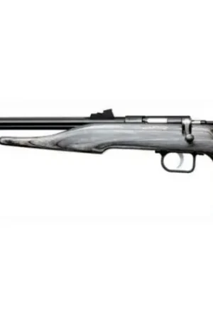 Sale Price | Chipmunk Hunter Bolt Action .22 WMR Stainless/Silver Pistol