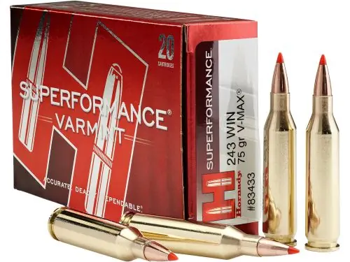 Order Today | Hornady Superformance .243 WSSM