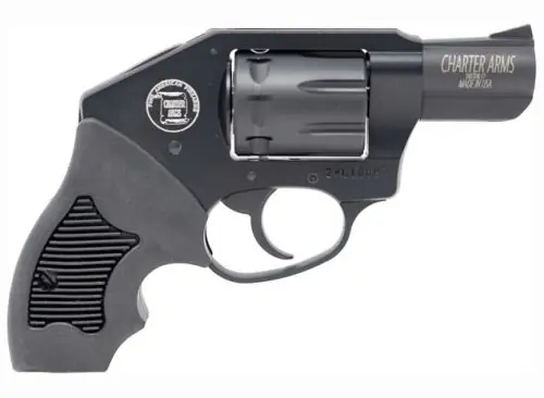 Professional Grade | Charter Arms Walker 22M Concealed Hammer .22 WMR Black Revolver