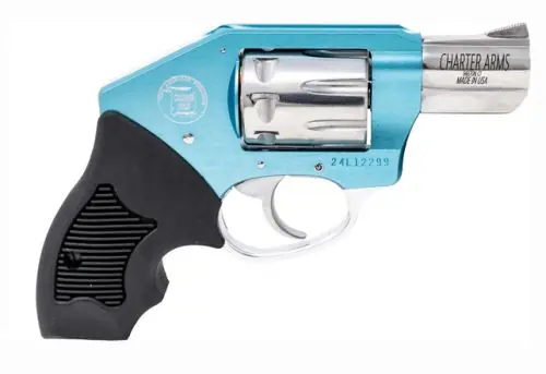 Charter Arms Walker Concealed Hammer .22 LR Blue Revolver - Secure Shopping