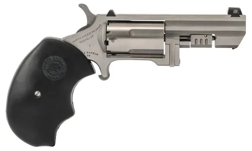 North American Arms Recluse XS .22 WMR Stainless Steel Revolver | Must-Have