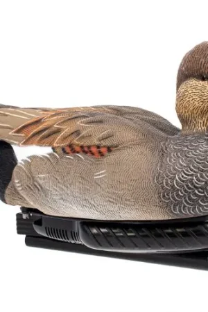 Avian-X Power Swimmer Gadwall Drake - One Day Deal