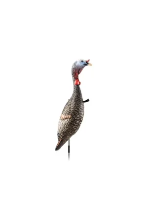 Flextone Funky Chicken Gen 2 Collapsible Hunting Decoy - Easy Checkout