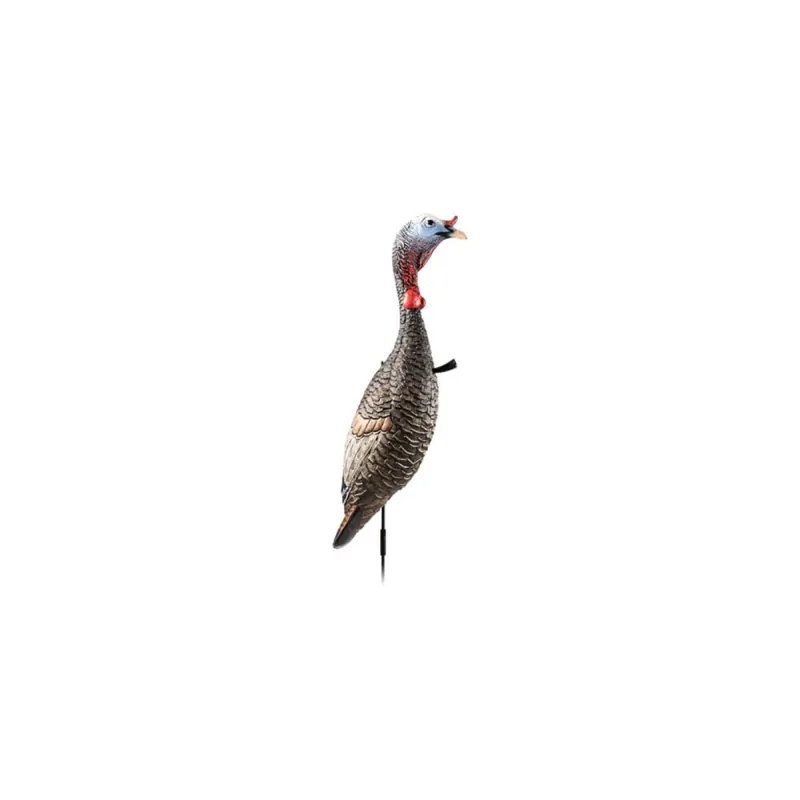 Flextone Funky Chicken Gen 2 Collapsible Hunting Decoy - Easy Checkout