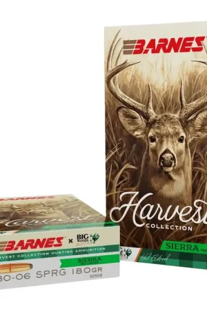 BRNS SIERRA PRO-HUNTER RN 3006 180GR 20/10 | Secure Shopping