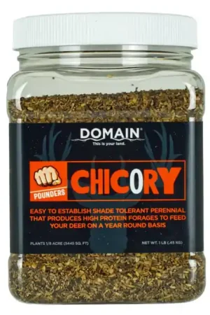 Domain Chicory Pounder, 1 | Sale Price