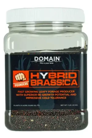 Domain Hybrid Brassica Pounder Seed 1/4 Acre | Secure Payment