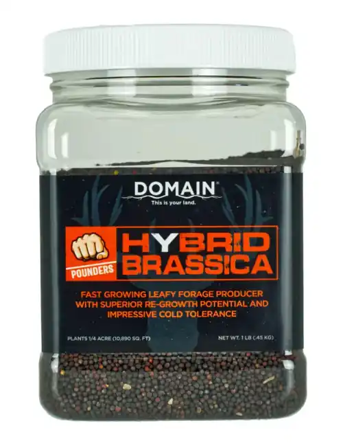 Domain Hybrid Brassica Pounder Seed 1/4 Acre | Secure Payment