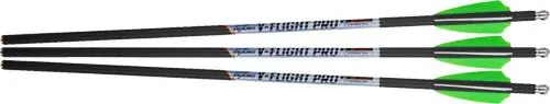 EXCALIBUR ARROW V-FLIGHT PRO | Ends Soon