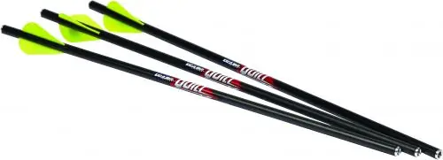 Excalibur Illuminated - Reduced Price