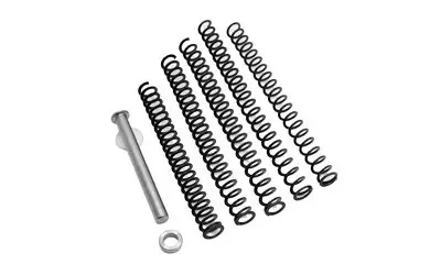 Price Drop - TRUE PREC RECOIL KIT FOR G19 G6