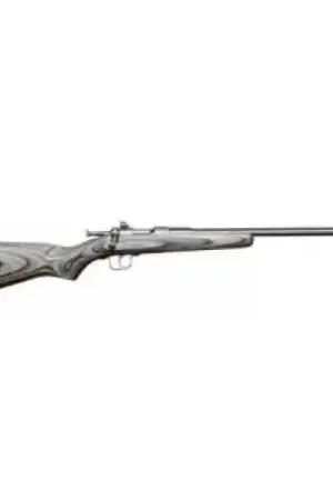 Chipmunk Chipmunk Single Shot .22 LR .22 Long .22 Short Stainless Steel Rifle | Going Fast