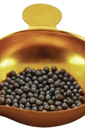 Low Price - RCBS Replacement Scale Powder Pan